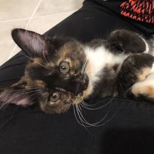 Meet your Posher, Erika